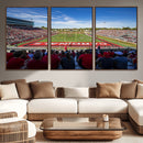 Ball State Cardinals Football Team Print - Muncie Scheumann