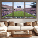 TCU Horned Frogs Football Team Print - Fort Worth Amon G.