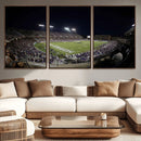 TCU Horned Frogs Football Team Print - Fort Worth Amon G.