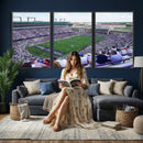 The Texas Christian University TCU Horned Frogs Football