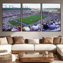 The Texas Christian University TCU Horned Frogs Football