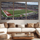 The Temple University Owls Athletics Team Print -