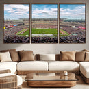 The Temple University Owls Athletics Team Print -