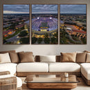 The Louisiana State University Tigers Football Team Print -