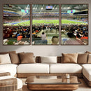 The University of Texas at San Antonio Roadrunners Football by MyGreatCanvas | Canvas Wall Art Prints | Photo Prints & Wall Decor