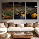 West Virginia Uni Mountaineers Football Team Print - Milan