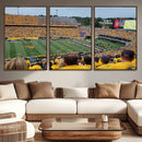 Puskar Stadium Canvas Print Wall Art - Morgantown Print -