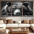 Resting Grizzly 399 Bear Canvas Print | Ready to Hang Wall by MyGreatCanvas | Canvas Wall Art Prints | Photo Prints & Wall Decor