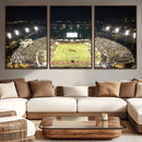Florida A&M Rattlers Football Team Print - Tallahassee Bragg