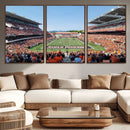 Oregon State Beavers Football Team Print - Corvallis Reser