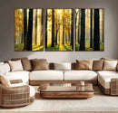Sunlit Forest Wall Art Canvas Print – Large Framed Woodland