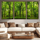 Lush Green Forest Canvas Print | 3-Panel Forest Wall Art |