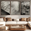Elephant Wall Art Canvas Print