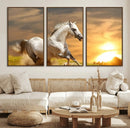 Large Wall Art Galloping White Horse at Sunset Canvas Print