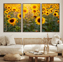 Sunflower Sunshine Wall Art Canvas Print by MyGreatCanvas | Canvas Wall Art Prints | Photo Prints & Wall Decor