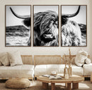 Black and White Scottish Cow Canvas Wall Art Highland Cattle