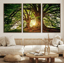 Majestic Ancient Tree Wall Art, NatureCanvas Print, Woodland by MyGreatCanvas | Canvas Wall Art Prints | Photo Prints & Wall Decor