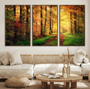 Sunlight Through Trees Wall Art Canvas Print - Autumn Forest