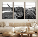 Longhorn Steer Canvas Print Wall Art, Highland Cow Canvas by MyGreatCanvas | Canvas Wall Art Prints | Photo Prints & Wall Decor