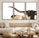 Texas Longhorn Wall Art Canvas Print | 3-Panel Large