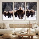Bison Wall Art Canvas Print- Bison Herd Canvas Wall Art –