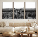 Black and White Highland Cow Canvas Wall Art, Longhorn by MyGreatCanvas | Canvas Wall Art Prints | Photo Prints & Wall Decor