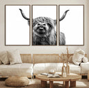 Fanny Scottish Highland Cow Cattle Art Print Farmhouse Wall
