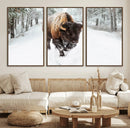 Bison Wall Art Canvas Print For Farmhouse, Animal Canvas by MyGreatCanvas | Canvas Wall Art Prints | Photo Prints & Wall Decor