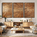 Tree Ring Canvas Art, Rustic Wood Grain Wall Art, Tree Slice