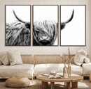 Black White Scottish Highland Cow Cattle Art Print Farmhouse