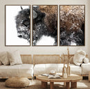 American Bison Wall Art Print – Majestic Buffalo Canvas