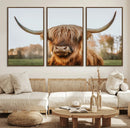 Highland Cow Animal Scottish Cattle Art Print Farmhouse Wall