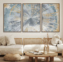 Radiant Abstract Wood Rings Canvas Art – Modern Triptych by MyGreatCanvas | Canvas Wall Art Prints | Photo Prints & Wall Decor