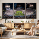Penn Stadium Football Wall Art Canvas Print, Pennsylvania