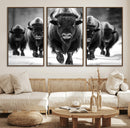 American Bison Art | Buffalo Herd Wall Art Canvas Print, BW