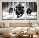 Buffalo Wall Art Canvas Print, Bison Family Wall Art Canvas by MyGreatCanvas | Canvas Wall Art Prints | Photo Prints & Wall Decor