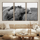Bear and Cub Wall Art Canvas | 399 Bear Cub