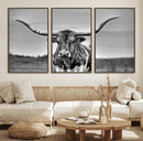 Texas Longhorn Cow Wall Art, Texas Longhorn Canvas, Cattle