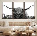 Longhorn Canvas Print, Bighorn Cow Wall Art Canvas Print