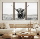 Highland Cow Canvas Wall Art – Majestic Beauty in Black and
