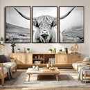Scottish Cow Wall Art Canvas Print