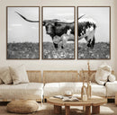 Texas Black White Highland Longhorn Cow Wall Art Canvas by MyGreatCanvas | Canvas Wall Art Prints | Photo Prints & Wall Decor