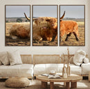 Highland Cow Canvas Wall Art Animal Print for Farm House