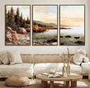 Serene Coastal View of Acadia National Park Wall Art -