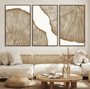Rustic Brown Tree Ring Wall Art Canvas Print – Framed and