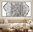 Rustic Tree Ring Wall Art Canvas Print – Framed and Ready to