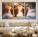 Scottish Highland Cow Horn Farm Wall Art Canvas Print