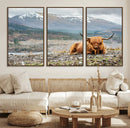 Highland Cow Horn Farm Wall Art Canvas Print