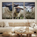 Charming Sheep Portrait Wall Art – Trio of Woolly Companions by MyGreatCanvas | Canvas Wall Art Prints | Photo Prints & Wall Decor