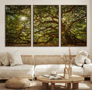 Ancient Angel Oak Tree Art Sunburst Canvas Print- by MyGreatCanvas | Canvas Wall Art Prints | Photo Prints & Wall Decor